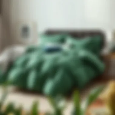 The Allure of Hunter Green Duvets: A Detailed Exploration Summary